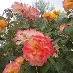 Groane Bed and breakfast